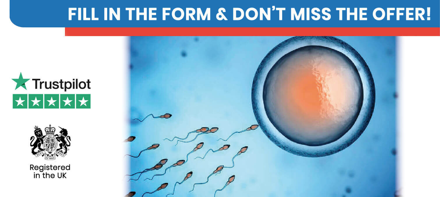 Egg Embryo Sperm Donation